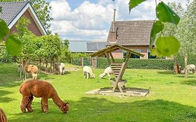 Alpacafarm Vorstenbosch