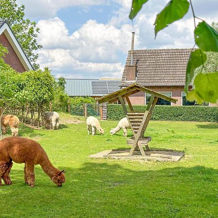 Alpacafarm Vorstenbosch Exterior foto