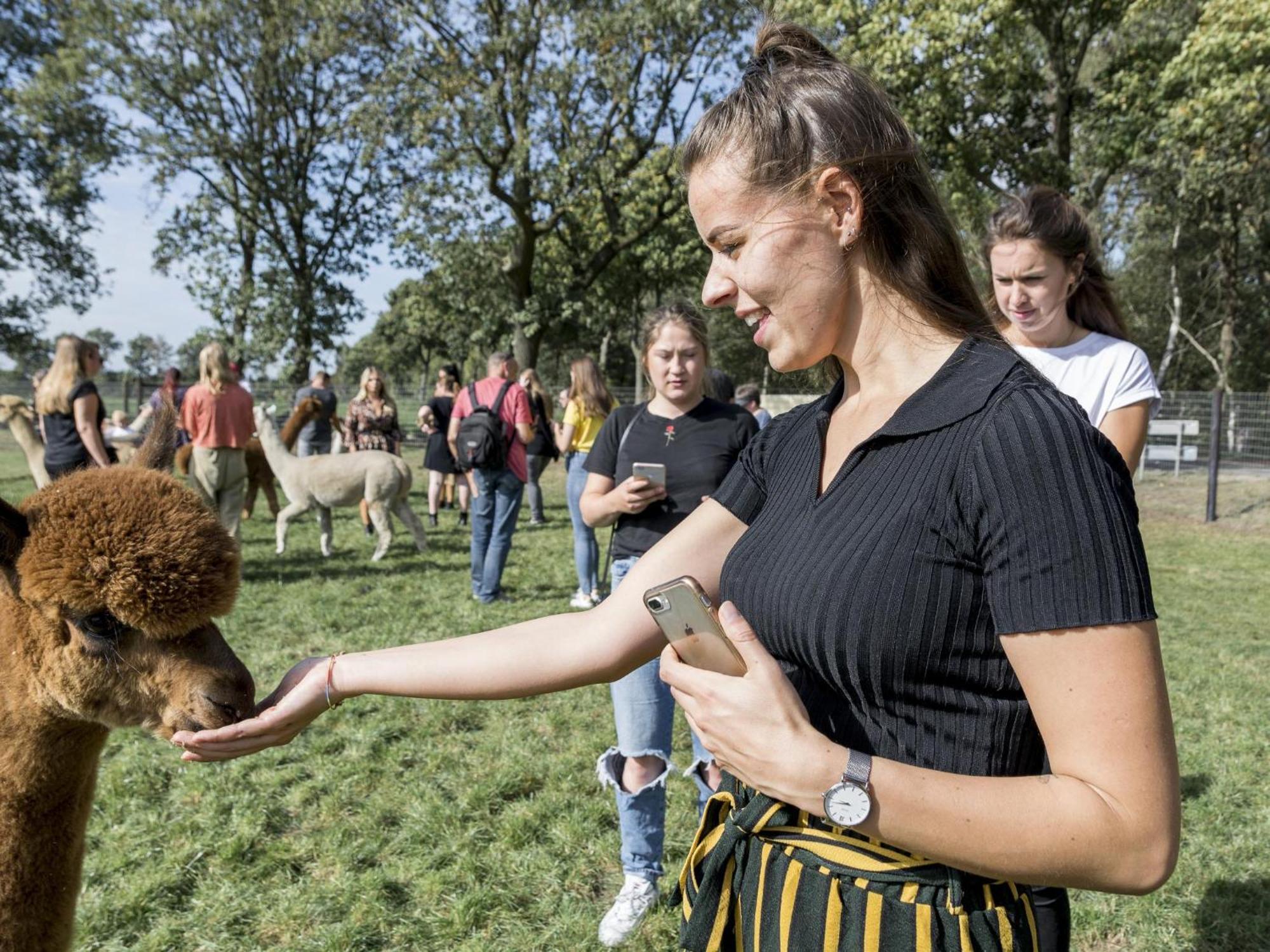 Alpacafarm Vorstenbosch Exterior foto