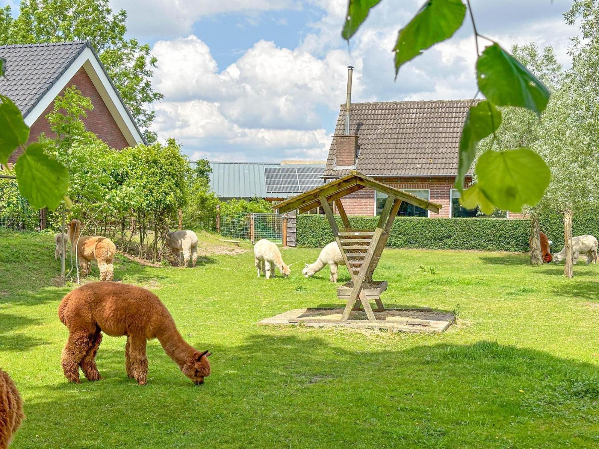 Alpacafarm Vorstenbosch Exterior foto